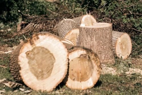 chopped logs